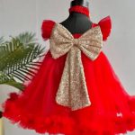 Rose dress girl net frock