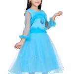 Princess frock/pari frock