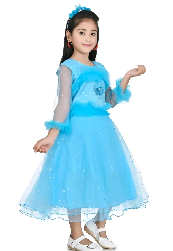 Princess frock/pari frock