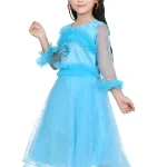 Princess frock/pari frock