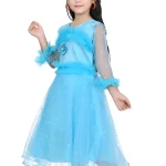 Princess frock/pari frock