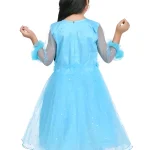 Princess frock/pari frock