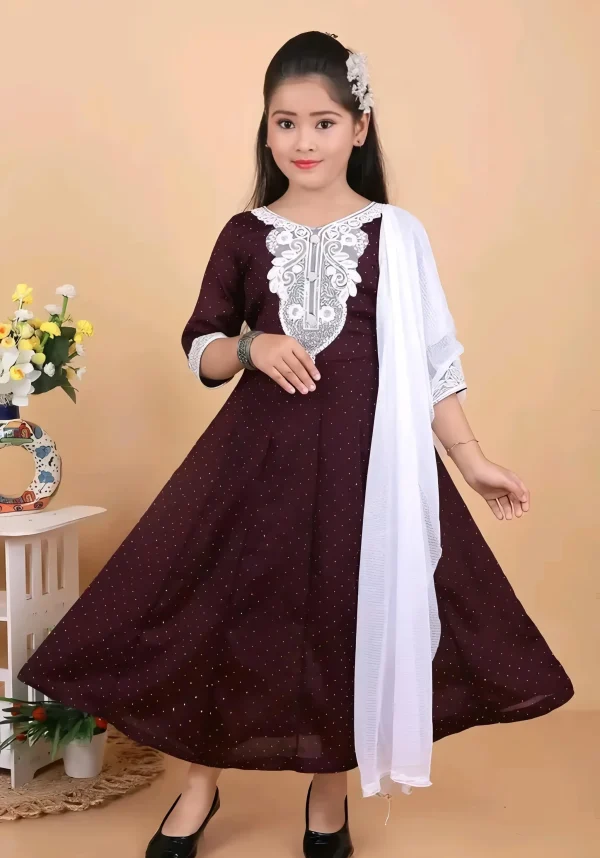 Ethnic wear suit