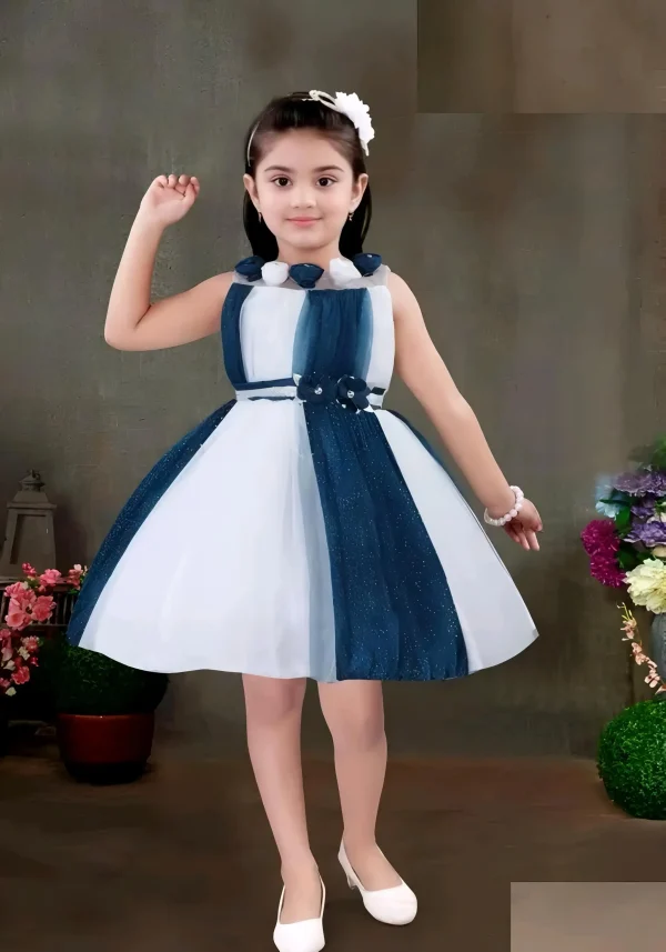 Girls net floral stylish dress
