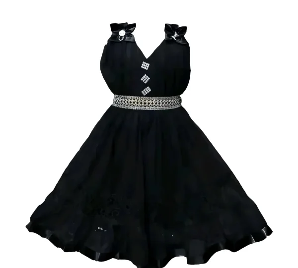 Girls net floral stylish dress