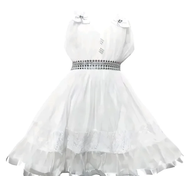 Girls net floral stylish dress