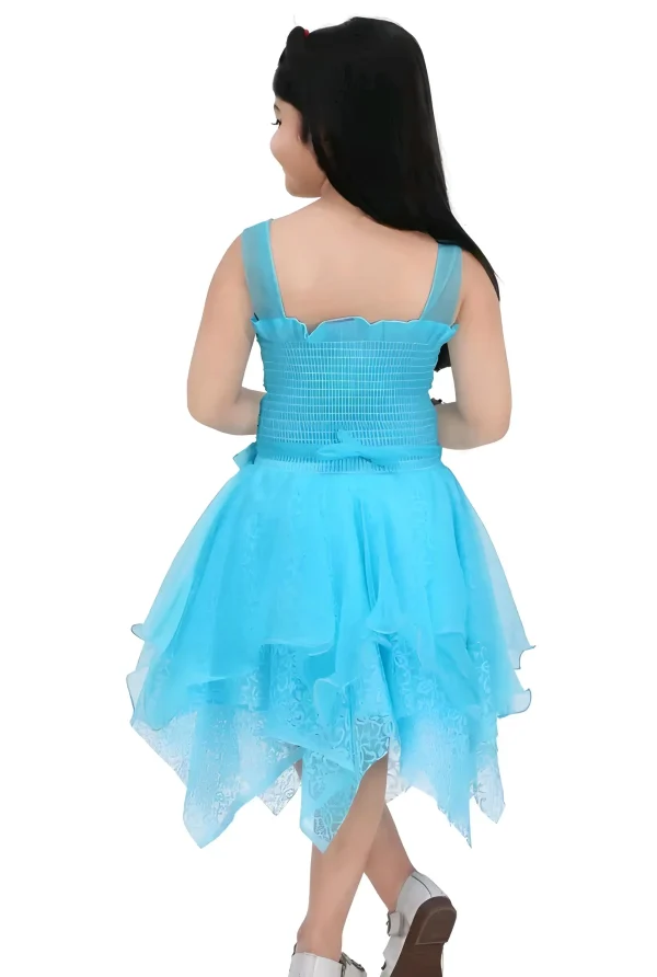 Net fabric girls frock