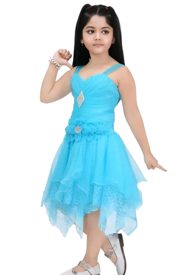 Net fabric girls frock