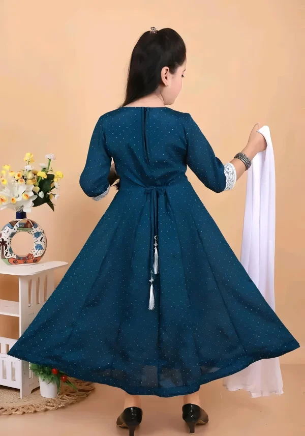 Ethnic wear suit