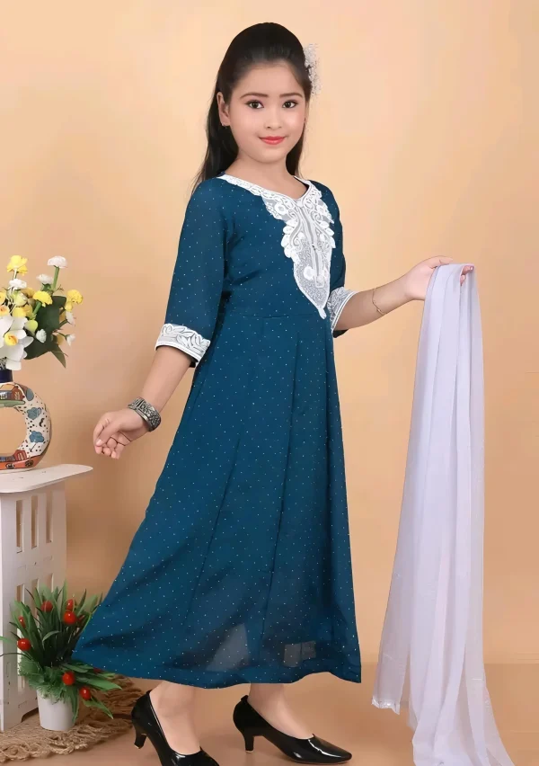 Ethnic wear suit