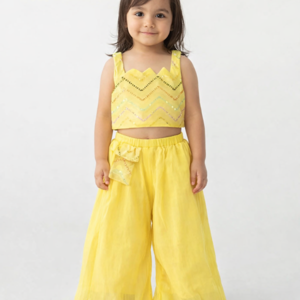 Fancy sharara set for baby girl